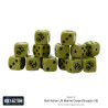 US Marine Corps D6 Dice (16)