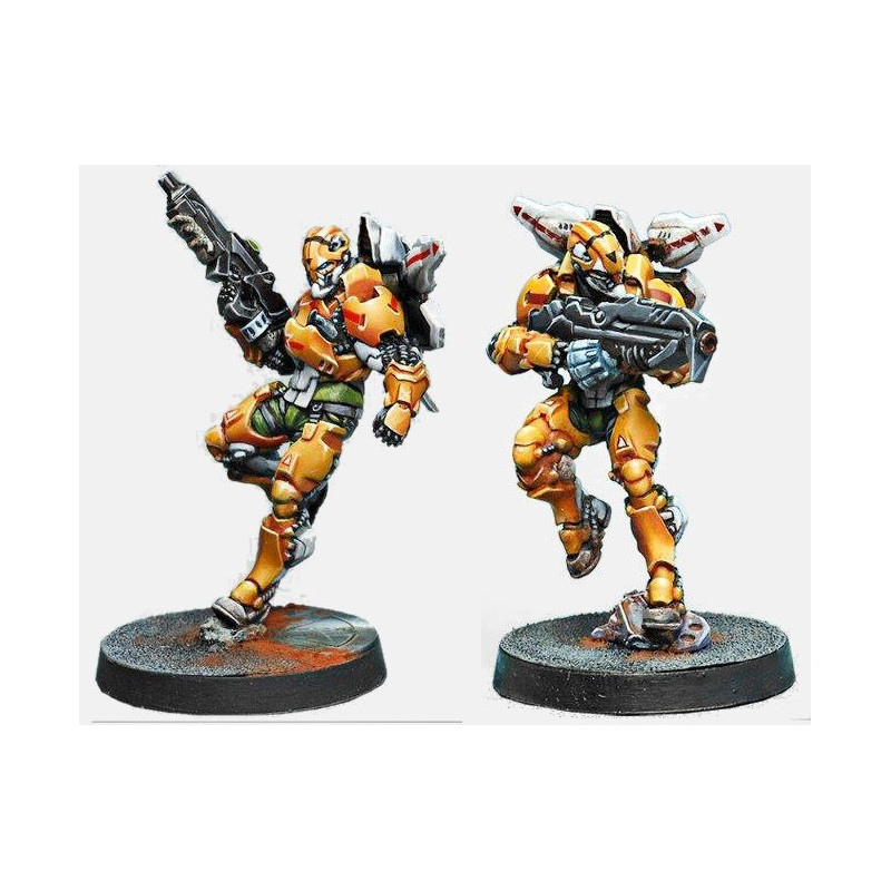 Tiger Soldiers