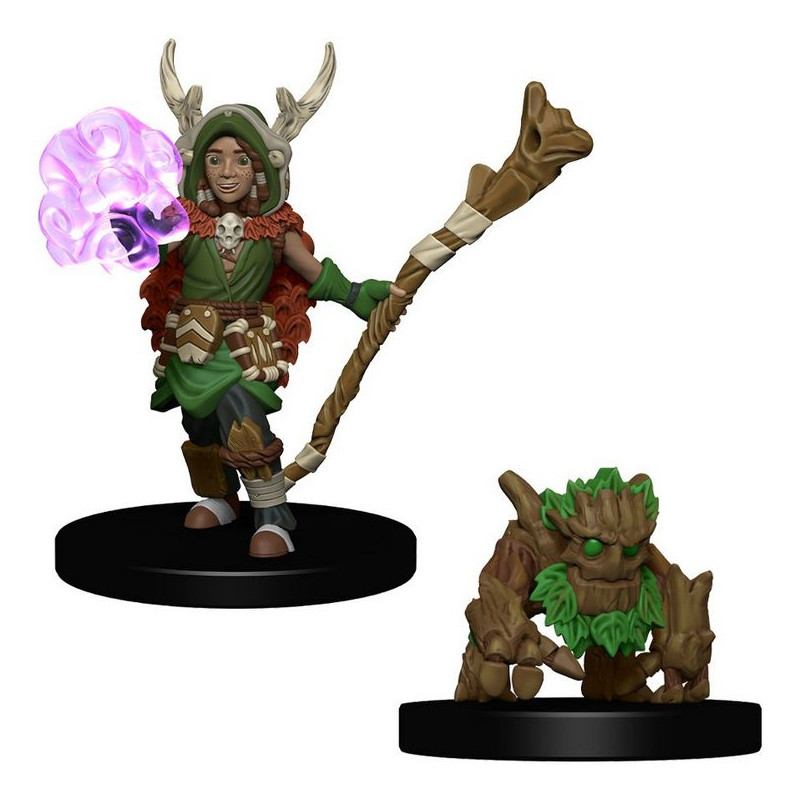 Boy Druid and Tree Creature