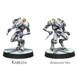 Danavas Hacker & Karkata Remote Ancillary Unit