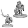 Dwarf Female Paladin (2)