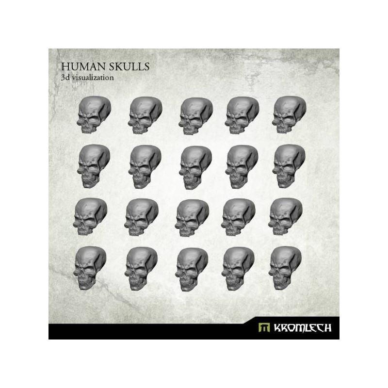 Human Skulls (20)