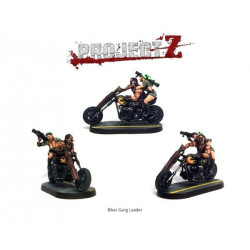 Project Z - Motorbike Gang Expansion