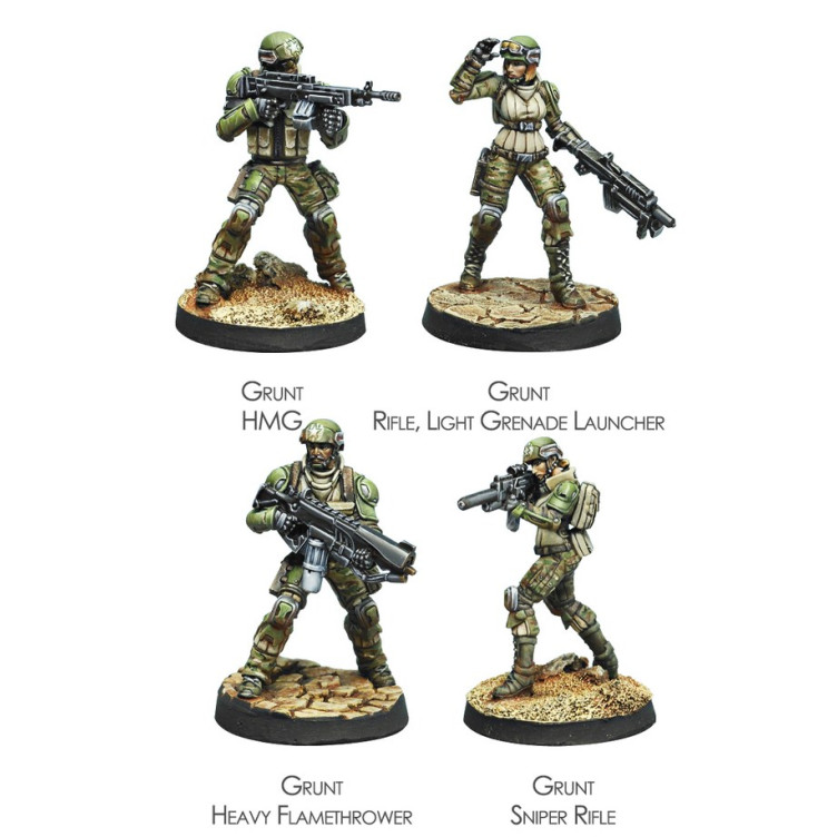 USAriadna Grunts