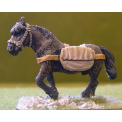 Pack Pony With Panniers (1)