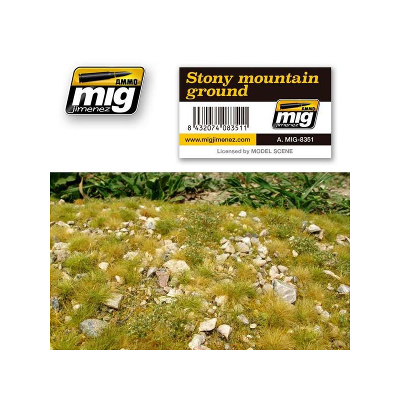 Stony Mountain Ground