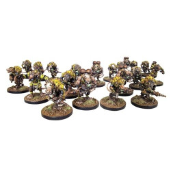 Veer-myn Night-Crawlers Platoon