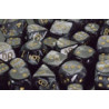 Lustrous Black/gold 12mm d6 (36 Dice)