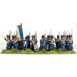 Napoleon's Old Guard Chasseurs